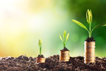 Procurement and Finance